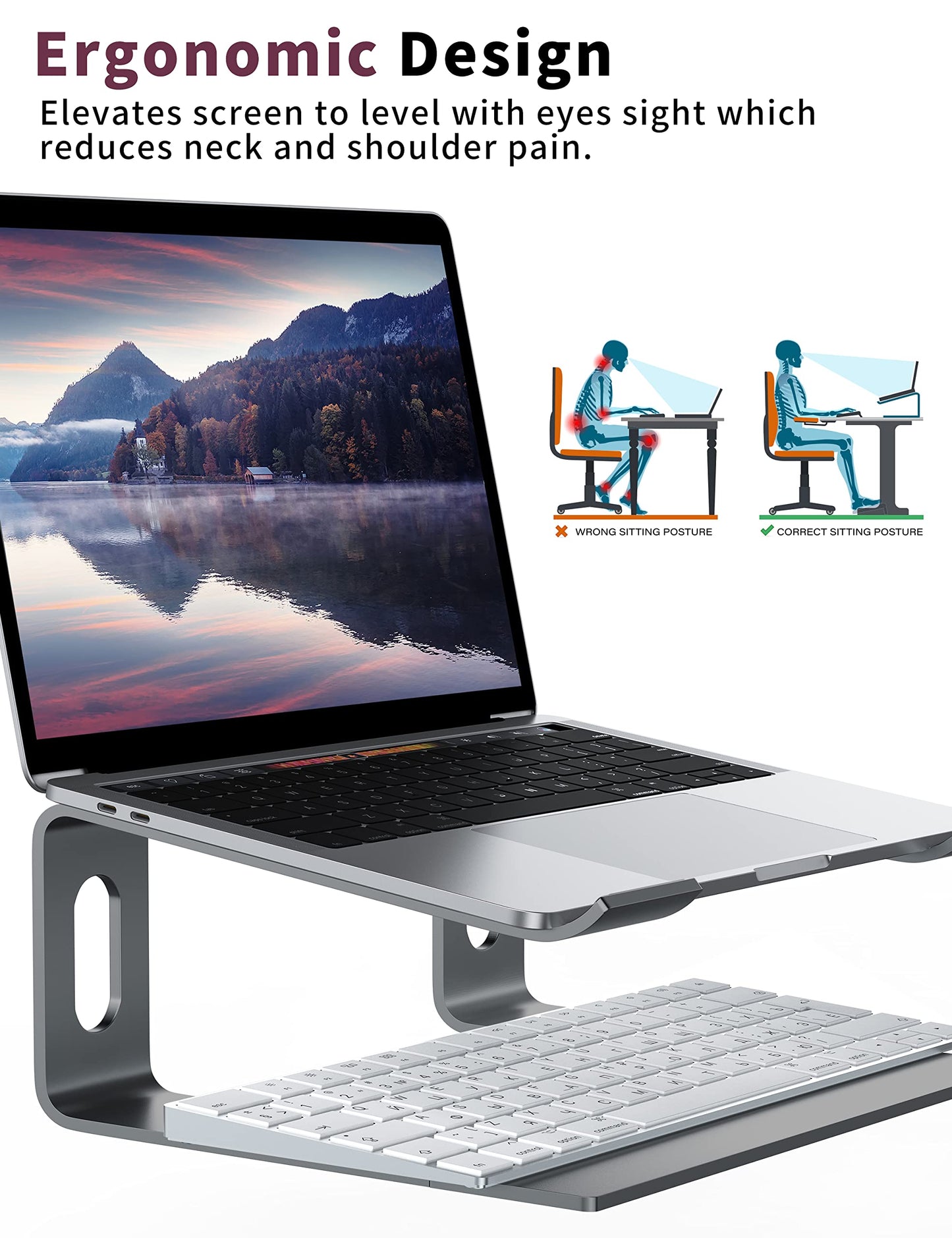 ALASHI Laptop Stand for Desk, Aluminum Computer Riser, Ergonomic Notebook Holder, Detachable Metal Laptops Elevator