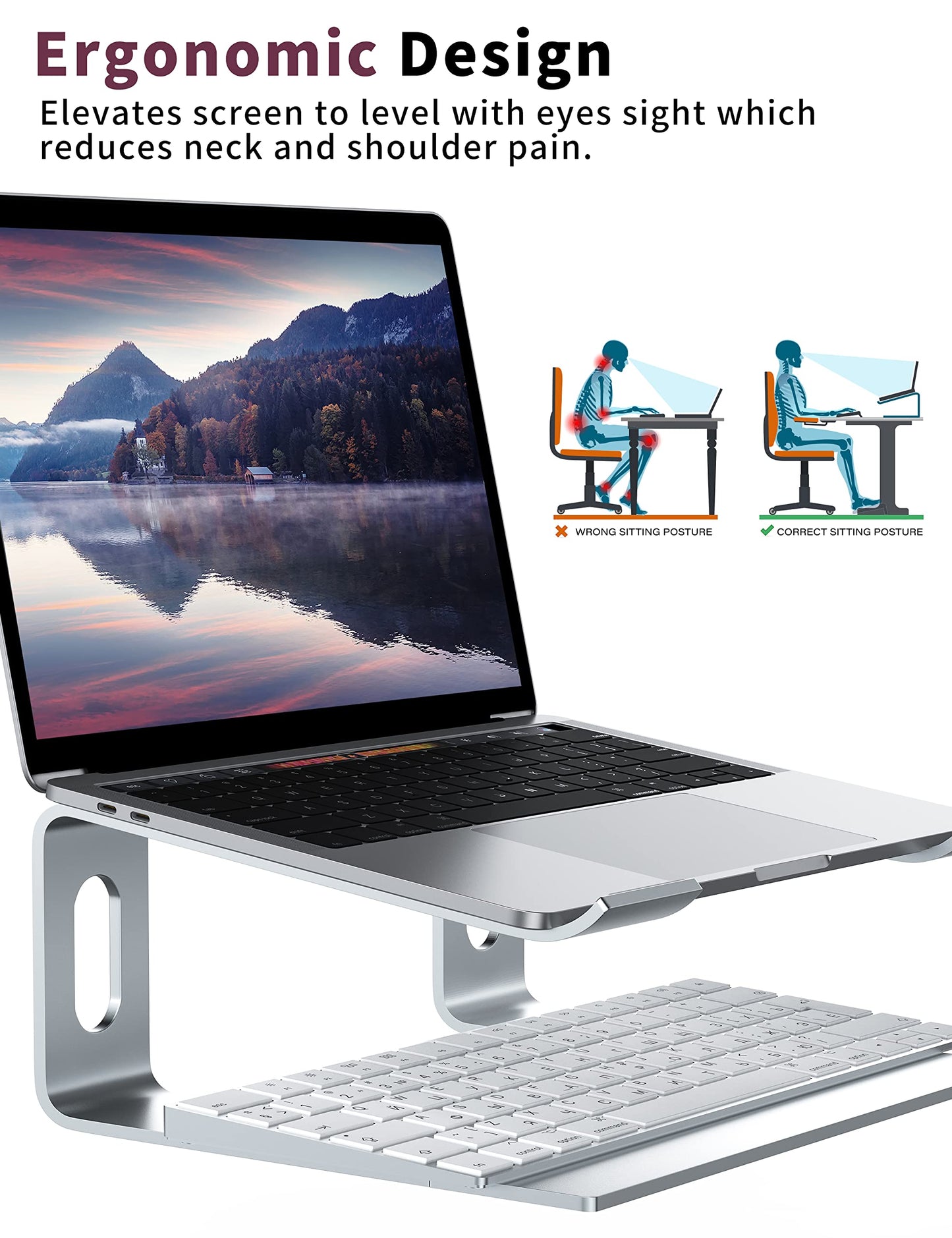 ALASHI Laptop Stand for Desk, Aluminum Computer Riser, Ergonomic Notebook Holder, Detachable Metal Laptops Elevator