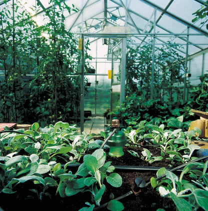 Blumat Medium Box Kit - Automatic Irrigation for Up to 12 Plants