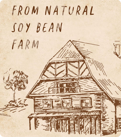 Soy Wax, BOYUJK Premium Natural Candle Wax, 100% Soy Wax for Candle Making from Organic Farm, No additives, Harmless and Pure (4KG)