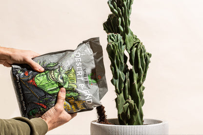 High Drainage Cactus Soil Potting Mix with Mycorrhizal Fungi - 8 Pounds / 4 Quarts of Soil for Succulents and Cactus - Slightly Acidic, Gritty Soil