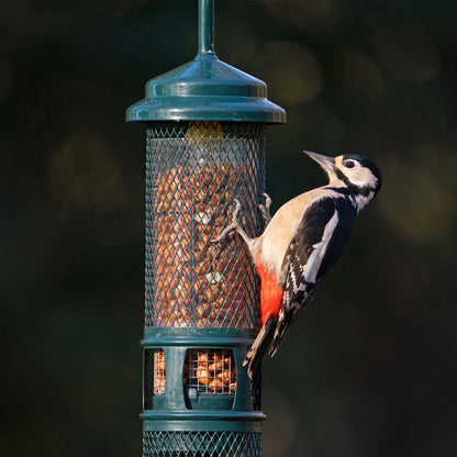 Jacobi Jayne SB-PN Squirrel Proof Bird Feeder - Squirrel Buster Peanut - Marauders off! Guaranteed Squirrel and Large Bird Proof / Metal, Green