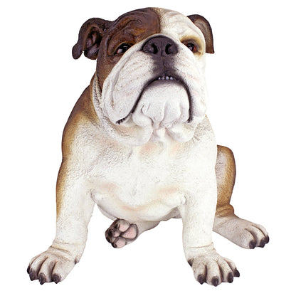 Design Toscano DB383052 Buster the Bulldog British Decor Garden Statue, 41 cm, Polyresin, Full Color, 16 Inch