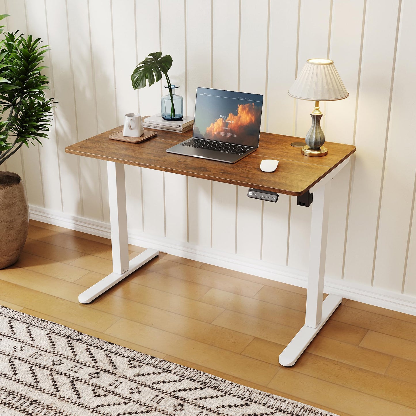 ELEGANT Electric Standing Desk 120x60cm, Height Adjustable Sit Stand Desk