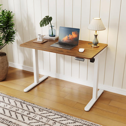 ELEGANT Electric Standing Desk 120x60cm, Height Adjustable Sit Stand Desk