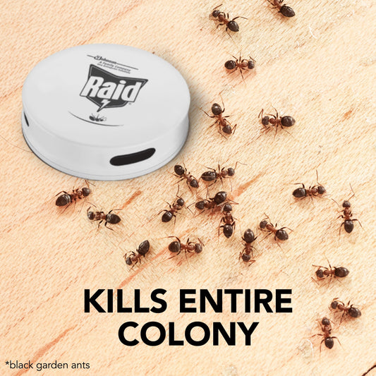 Raid Ant Bait Station, Long Lasting Ant Killer for Indoor and Outdoor Use, Destroys Nests, Pack of 12