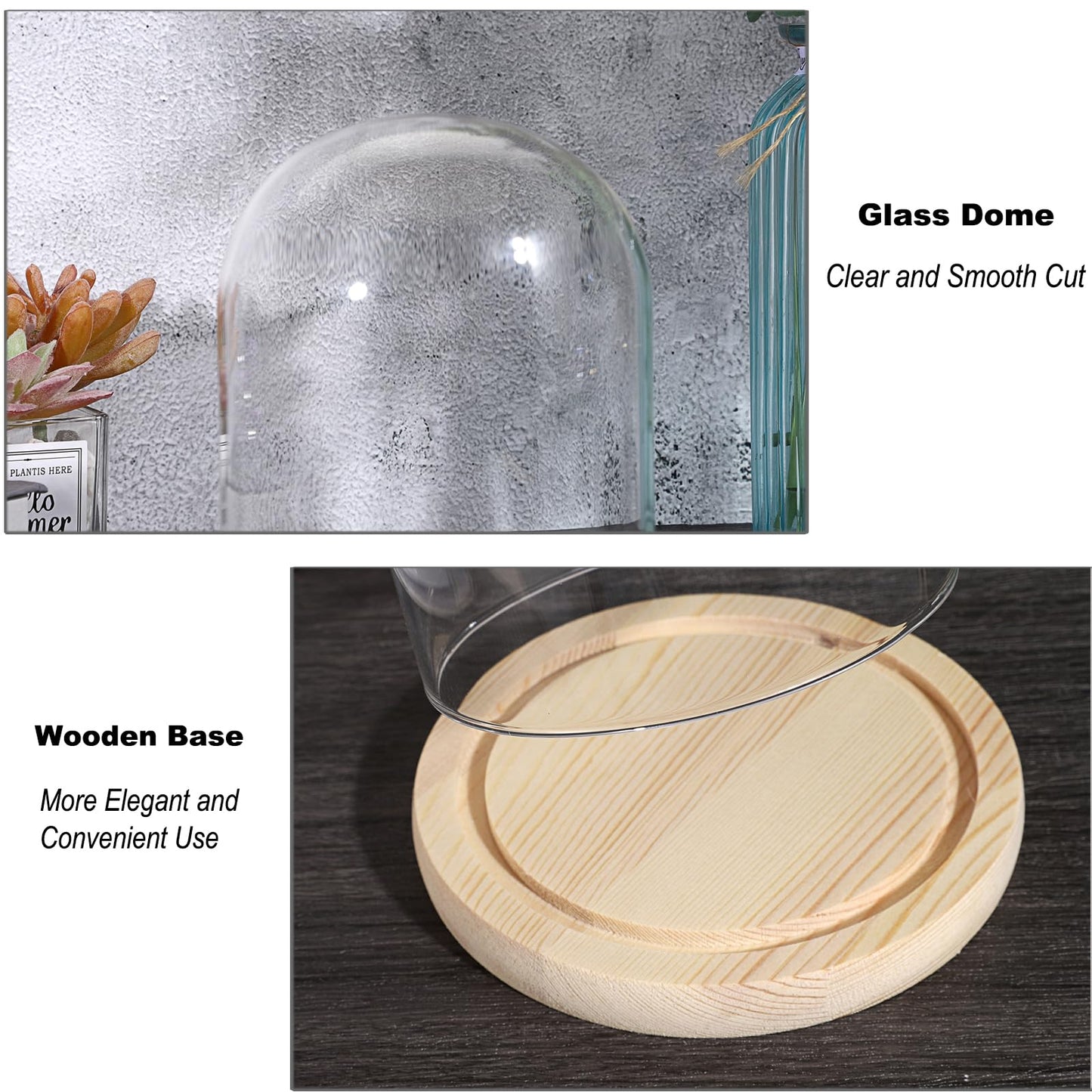 SUMNACON Glass Display Cloche Dome with Solid Wooden Base, 11.4*15cm