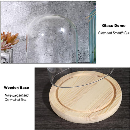 SUMNACON Glass Display Cloche Dome with Solid Wooden Base, 11.4*15cm