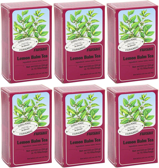 Floradix Lemon Balm Organic Herbal Tea 15 Bag (Pack of 6)