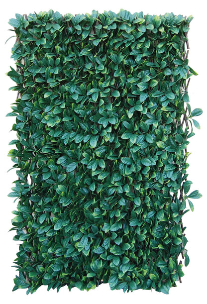 Tenax 1A150277 Synthetic Hedge on Extendible Trellis 200 x 4 x 100 cm Green