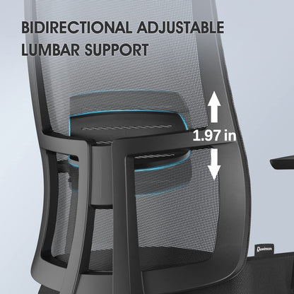 Duwinson Ergonomic Mesh Home Office Chair With Back Support, 3-Way Adjustment Armrest, Executive Desk Chair with Reclining Adjustment