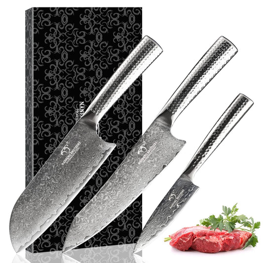 Damascus Kitchen Knife Set - 3 PCS with Chef, Santoku & Paring Knives, VG10 Steel 67 Layers Superior Damascus Steel Blades, Japanese Style with