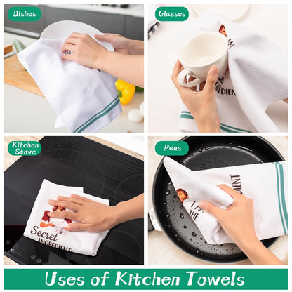 R HORSE 5Pcs Kitchen Dish Towel Funny Joked Themed Kitchen Dishcloth Absorbent Retro Sassy Lady Cleaning Dishcloth Bar Hilarious Hand Towel Gift for