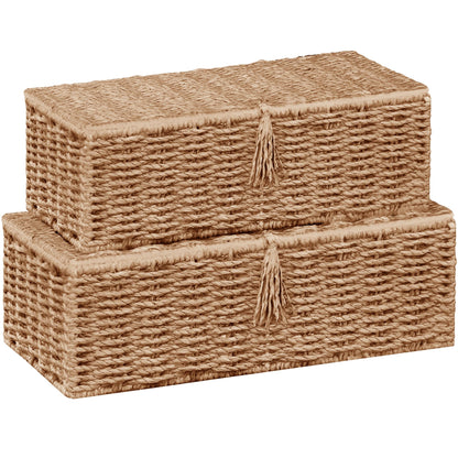 Vagusicc Storage Boxes with Lid, Handwoven Set of 2 Wicker Storage Baskets for Organizing, Nesting Storage Basket for Shelves