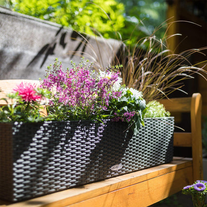 Lechuza Self Watering Plant Pot BALCONERA Cottage 80 Indoor and Outdoor Flower Rattan Look Plastic Plant Pot and Window Box with Drainage Hole H19 L80