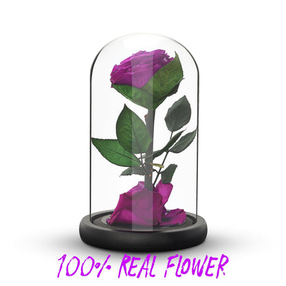 Eternal Forever Rose | Fresh Rose Gift | Single Rose Preserved for 5 Years | Handcrafted | Gifts for Women Birthday unique Unusual | Mothers Day,