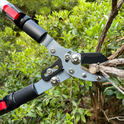 Darlac Telescopic Anvil Garden Loppers ? Lightweight Action Loppers with Extendable Handles Ideal for Pruning Hard or Dead Wood - SK5 High Carbon