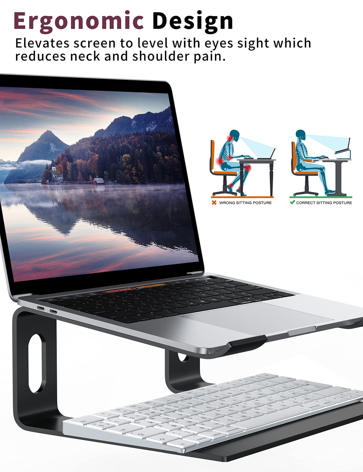 ALASHI Laptop Stand for Desk, Aluminum Computer Riser, Ergonomic Notebook Holder, Detachable Metal Laptops Elevator