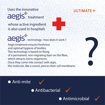 Twillie - Integral Mattress Cover 120x190x25 cm Waterproof - Anti bedbug - Oeko-TEX® Mattress Cover AEGIS® treatment Anti-Dust Mite, Anti-Bacterial
