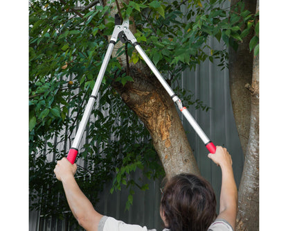 Kimura? Pro Heavy Duty Garden Loppers - Premium Anvil Lopper with Advanced Ratchet Mechanism, Lightweight Telescopic Handles, Japanese SK5 Steel