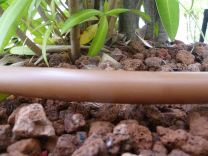 S&M s & m 544828 ? Drip Pipe, 16 mm x 50 m, Brown