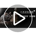 C&Xanadu 200mm X 3m Rat Mesh Rodent Proofing Wire Mesh Roll,Welded Metal Mesh Galvanised,Stop & Prevent Mice & Mouse Access