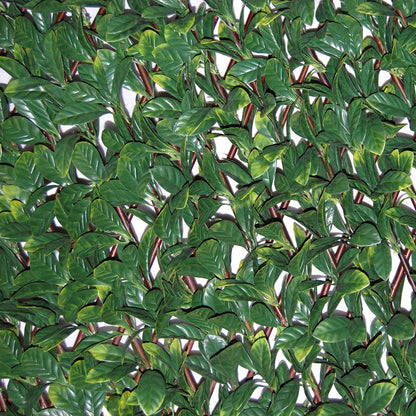 Tenax 1A150277 Synthetic Hedge on Extendible Trellis 200 x 4 x 100 cm Green