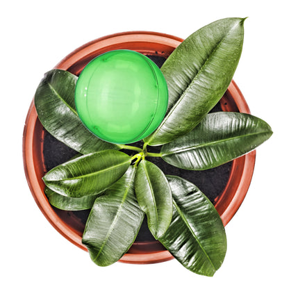 Relaxdays Watering Globes, Set of 4, Regulated Irrigation, 2 Weeks, Pot Plants, Plastic Sphere, Bulb, Transparent, ?: 8 cm