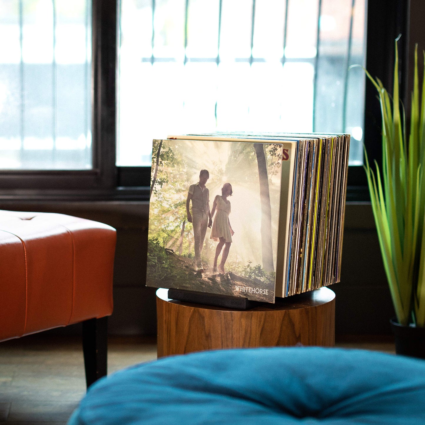 MÖNKE Premium Vinyl Record Storage - a Mid-Century Style Record Holder, 50 LP Capacity - with a Now-Playing Record Display Groove (Black)