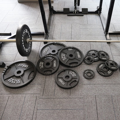 Signature Fitness Olympic 2-Inch Cast Iron Plate Weight Plate for Strength Training and Weightlifting, Two Hole Style, 25LB Pair