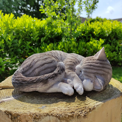 Vivid Arts Tabby Size B Real Life Sleeping Cat