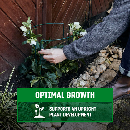 GardenGloss Shrub Supports (5 pcs) - Semicircular 100cm x 40cm - Dark Green Coated Steel Plant Support