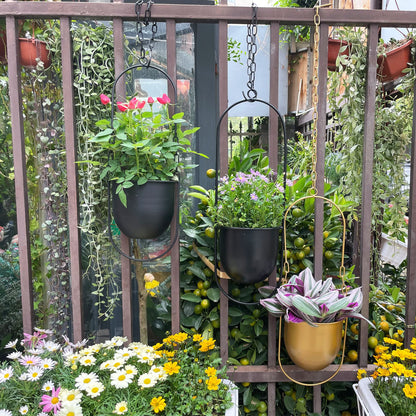 VDYXEW Metal Hanging Flower Pot, Hanging Decoration Pot, Metal Black Bolo Hanging Basket, Ceiling Hanging Planter for Indoor Plants, Succulents, Air