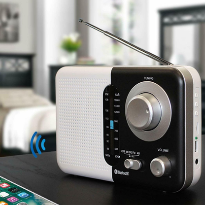 Soundz SZ412 AM/FM Bluetooth Radio with USB Port And SD Card Slot, Black/White