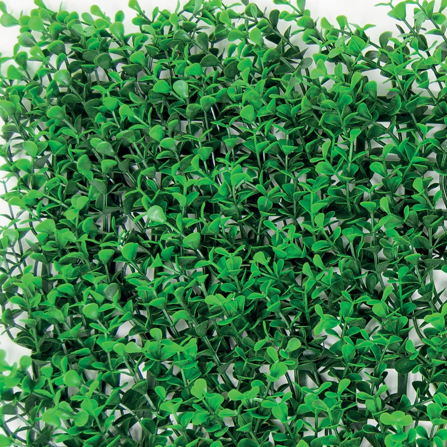 Synthetic panel hedge for vertical garden wall Buxus Intense verde intenso