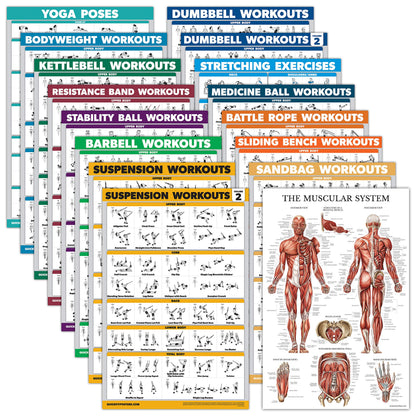 Palace Learning 16 Pack - Exercise Poster Set: Dumbbell, Suspension, Kettlebell, Resistance Bands, Medicine Ball, Battle Rope, Stretching, Bodyweight,