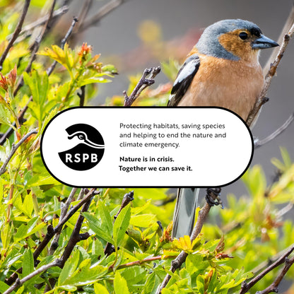 RSPB - Nyjer Seeds for Birds, Wild Bird Food for Small Birds, Oil-Rich and High Energy, Made in the UK, Suitable for Year-Round Feeding (12.75kg)