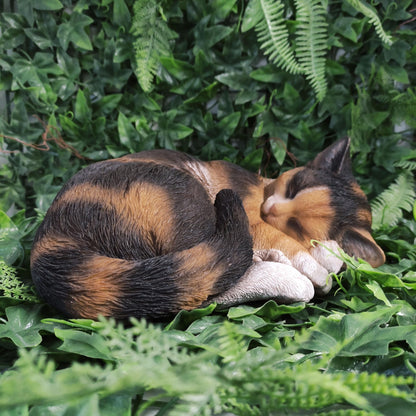 Vivid Arts Real Life Sleeping Cat Tortoiseshell XRL-ZC32-B
