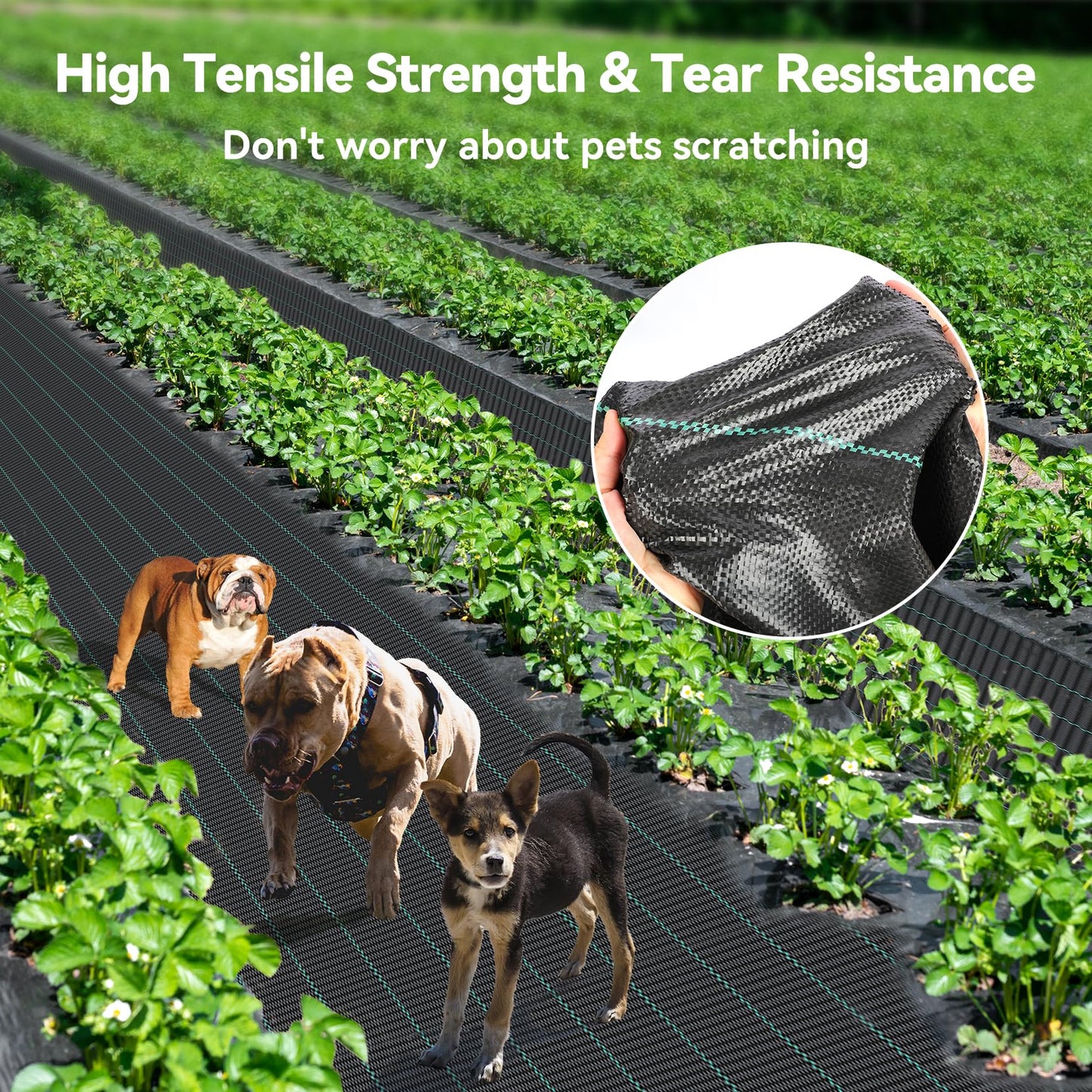iropro 2m x 100m Heavy Duty Weed Control Membrane Garden Weed Barrier Fabric for Landscaping Driveway Gravel Artificial Grass Lawn Underlay Black