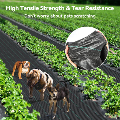 iropro 4m x 10m Heavy Duty Weed Control Membrane Garden Weed Barrier Fabric for Landscaping Driveway Gravel Artificial Grass Lawn Underlay Black Woven