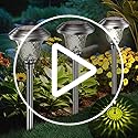 BEAU JARDIN 8 Pack Metal Garden Solar Lights Outdoor Waterproof 900mAh LED Solar Stake Lights Weatherproof Glass Lens Stainless Steel Pathway Lighting Sun Powered Landscape Lawn [Energy Class A]