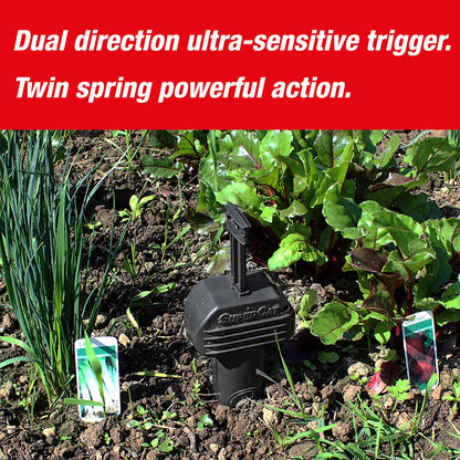 SWISSINNO Vole Trap PRO SuperCat - Efficient Snap Trap for Field and Mole Control, Patented Trigger Mechanism, Easy to Set Up, Safe and Reusable - 2X