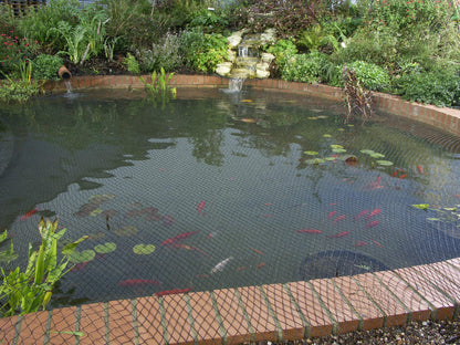 Blagdon 1022415 Clearview Pond Cover Netting, Strong Double Weave, Black, Fine, with 10 Fixing Pegs, Net Size 6m x 5m (20? x 16? 6?), Protects Pond