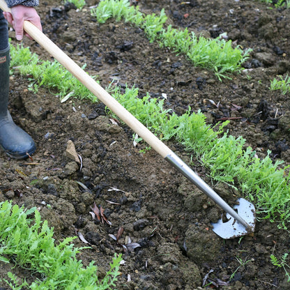 Haxnicks Speed Hoe Garden Tool | Easy To Use Garden Hoe | Silver, L1.7m, 12cm Diameter, Tool010101