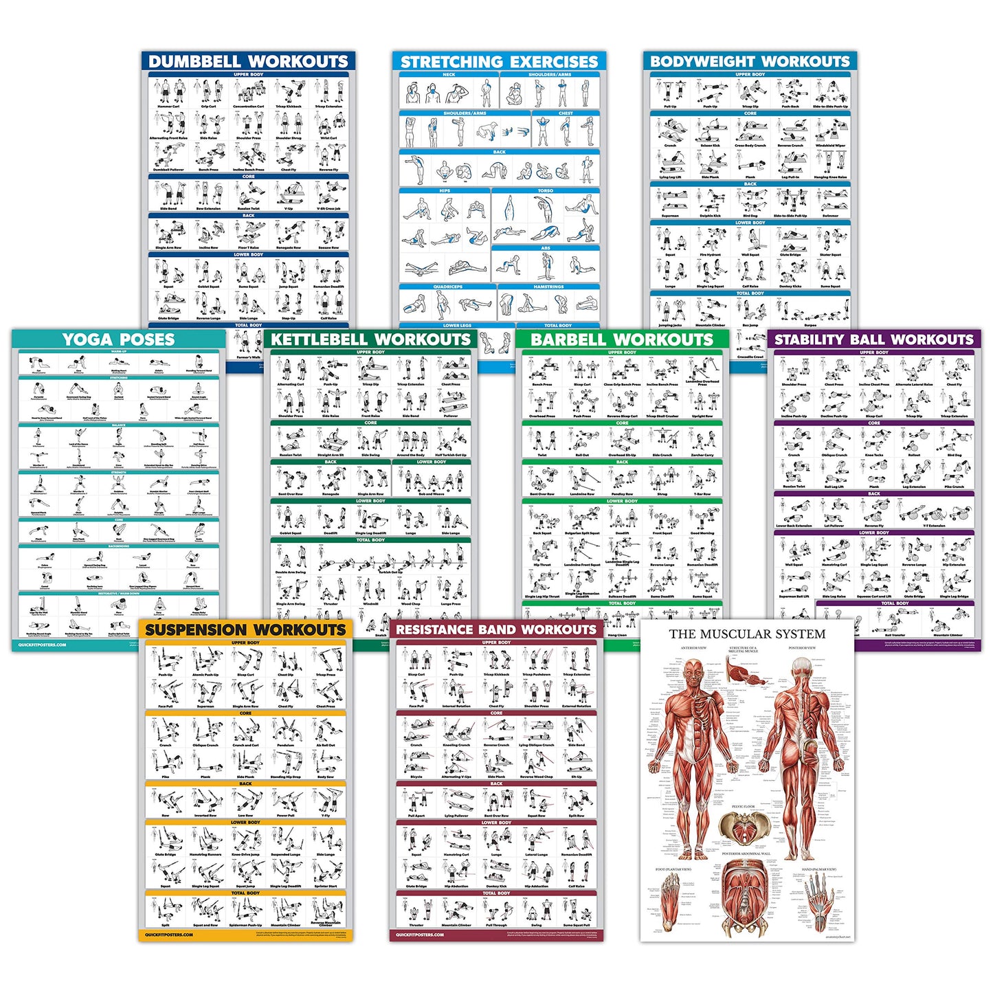 10 Pack - Exercise Workout Poster Set - Dumbbell, Suspension, Kettlebell, Resistance Bands, Stretching, Bodyweight, Barbell, Yoga Poses, Exercise