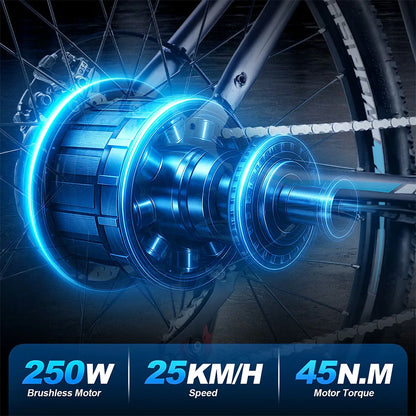 TWOFISH TF-1 Electric Bike, 250W 36V 15Ah Battery, 26" Tires, 25km/h Max Speed, 100km Max Range, Disc Brakes, Front Suspension
