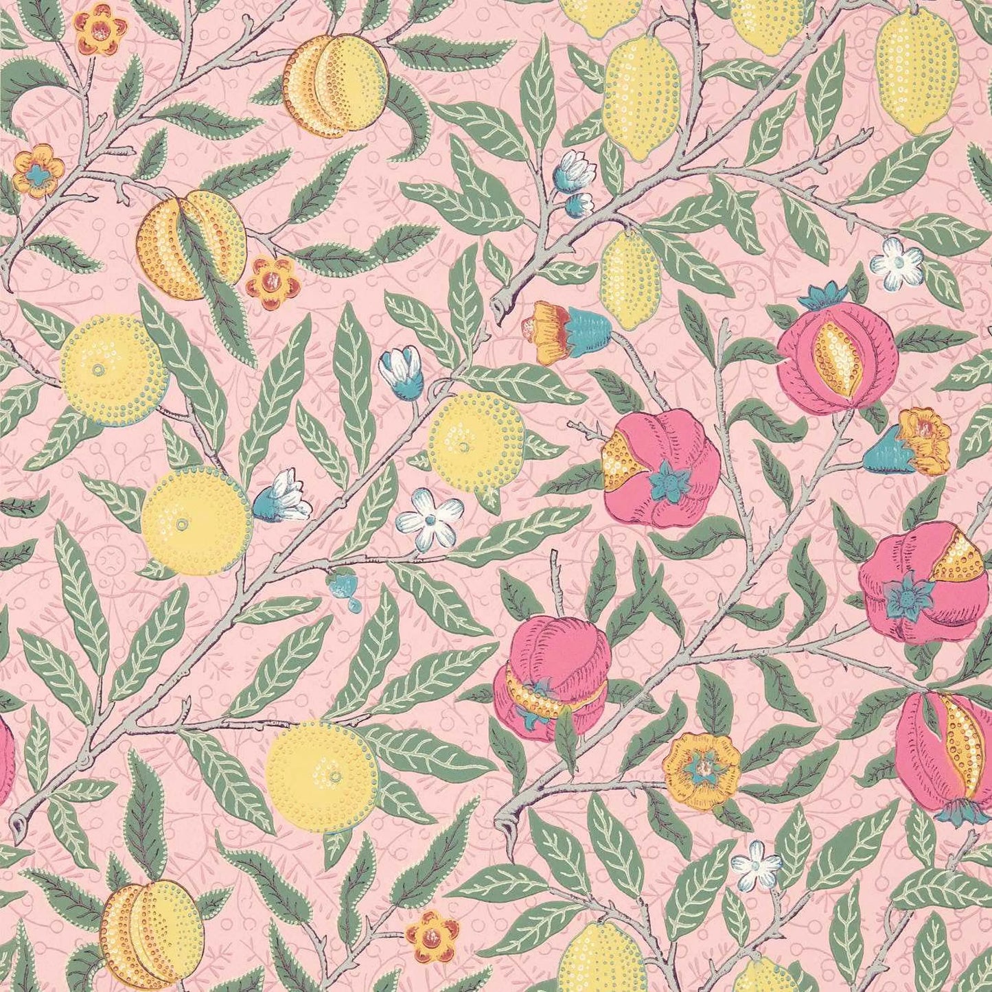 Fruit Wallpaper