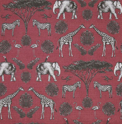 Africa