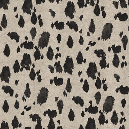 Appaloosa
