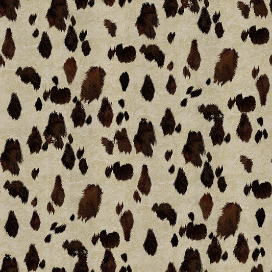 Appaloosa